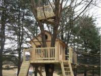 How to make a tree house for children in the country - instructions, photos Building a tree house