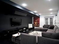 Black and white living room: design features, real examples in the interior Ready-made living room interior with black and white colors