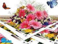 Photo paper - varieties, types of formats
